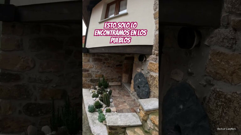 Viajar desde Asturias | 15 de junio de 2024 | Encontramos un jardín de cactus en un pueblo de Asturias
