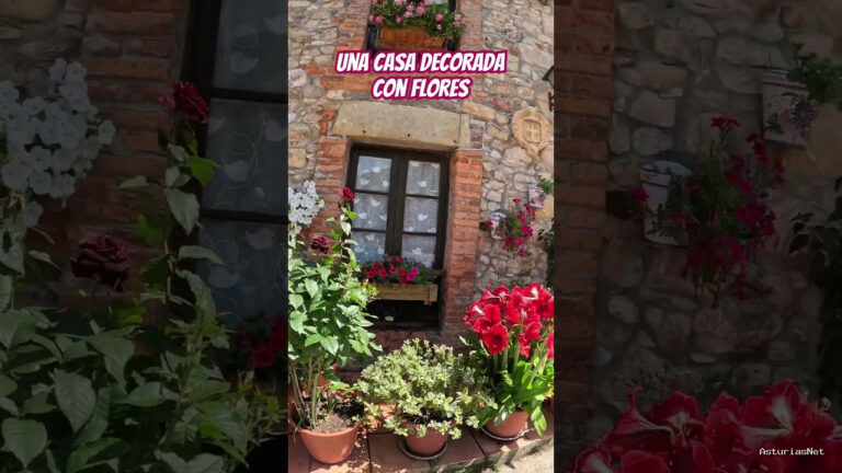 Viajar desde Asturias | 2 de junio de 2024 | Una casa con una decoración especial en Asturias en el pueblo de Prado
