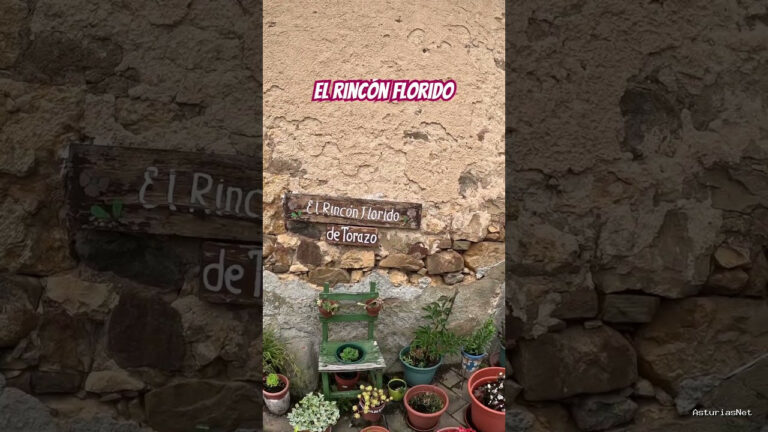 Viajar desde Asturias | 11 de junio de 2024 | Una vecina del pueblo ha hecho este maravilloso rincón florido en el pueblo asturiano de Torazu