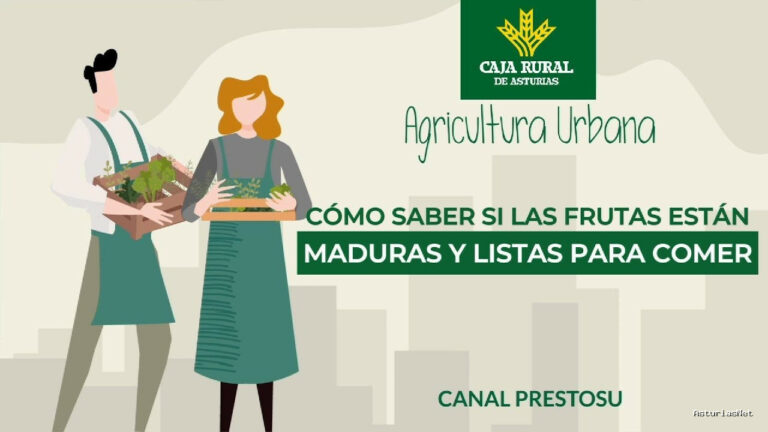 Prestosu | 3 de julio de 2024 | Canal Prestosu | Agricultura urbana: cómo saber si las frutas están listas para comer