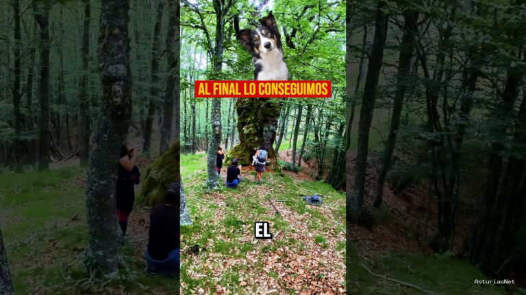 Viajar desde Asturias | 11 de julio de 2024 | Un escenario unico para hacer una foto a el perro Fito