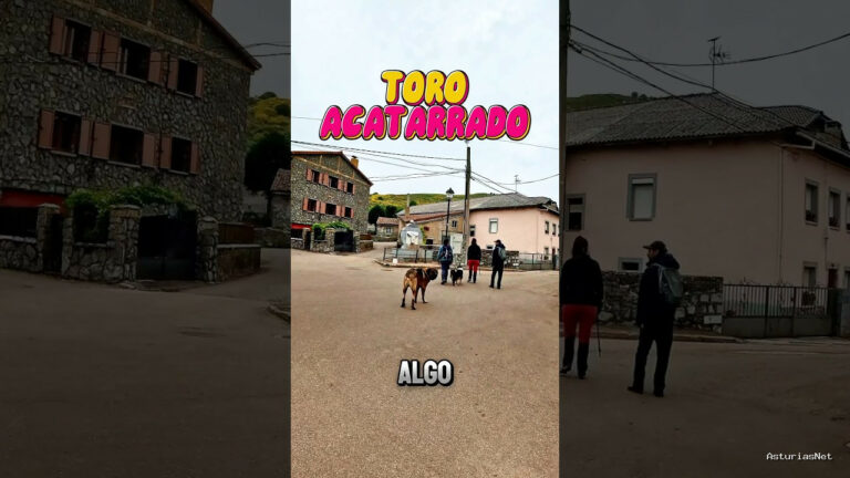 Viajar desde Asturias | 4 de julio de 2024 | Encontramos una fuente con una cabeza de toro en el pueblo de Maraña en Leon