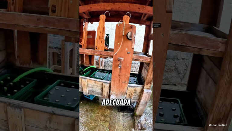 Viajar desde Asturias | 1 de julio de 2024 | enseñamos un sistema para enfriar la sidra que hemos encontrado en una sidreria de Leon