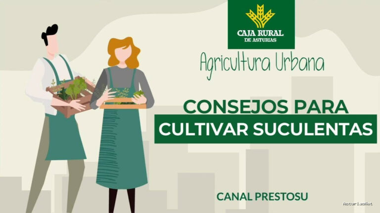 Prestosu | 10 de julio de 2024 | Canal Prestosu | Agricultura urbana: cómo cultivar suculentas