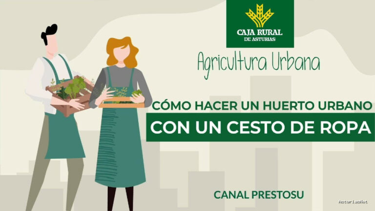 Prestosu | 17 de julio de 2024 | Canal Prestosu | Agricultura urbana: cómo hacer un con un cesto de ropa