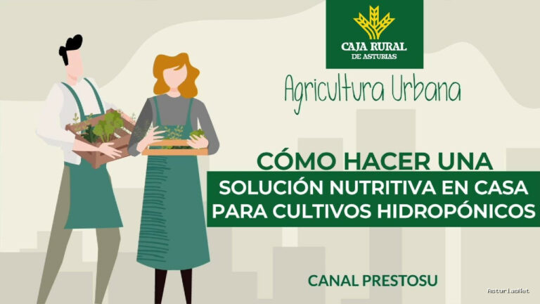Prestosu | 14 de agosto de 2024 | Canal Prestosu | Agricultura urbana: soluciones nutritivas para cultivos hidropónicos caseros