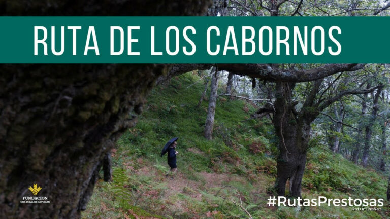 Prestosu | 15 de agosto de 2024 | Canal Prestosu | Rutas prestosas: de Los Cabornos (Parque Natural de Redes)