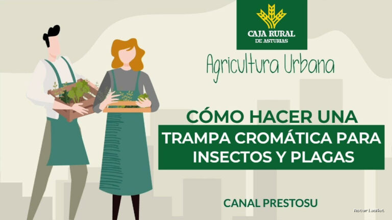 Prestosu | 7 de agosto de 2024 | Canal Prestosu | Agricultura urbana: cómo hacer una trampa cromática para insectos y plagas