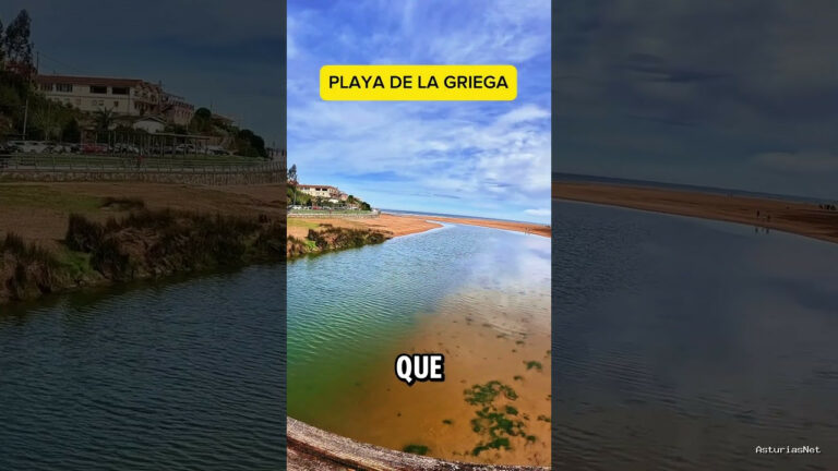 Viajar desde Asturias | 14 de agosto de 2024 | Quiero enseñaros esta playa que es un autentico paraiso en Asturias. Si los gansos me dejan…