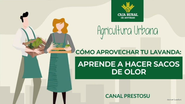 Prestosu | 28 de agosto de 2024 | Canal Prestosu | Agricultura urbana: cómo hacer bolsitas aromáticas de