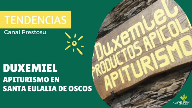 Prestosu | 23 de agosto de 2024 | Canal Prestosu | Tendencias: Duxemiel, y productos apícolas en Santalla de Oscos