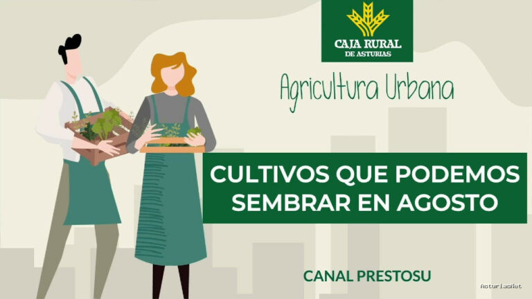 Prestosu | 21 de agosto de 2024 | Canal Prestosu | Agricultura urbana: qué podemos sembrar en agosto