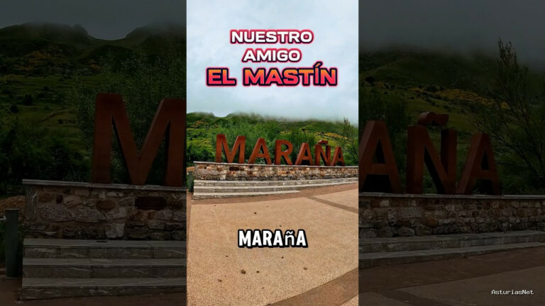 Viajar desde Asturias | 12 de agosto de 2024 | Nuestro amigo el perro mastín