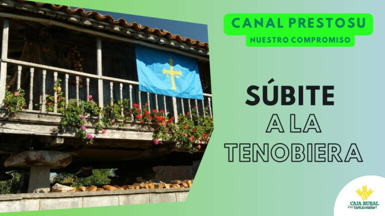 Prestosu | 25 de agosto de 2024 | Canal Prestosu | Nuestro compromiso: Súbite a la Tenobiera