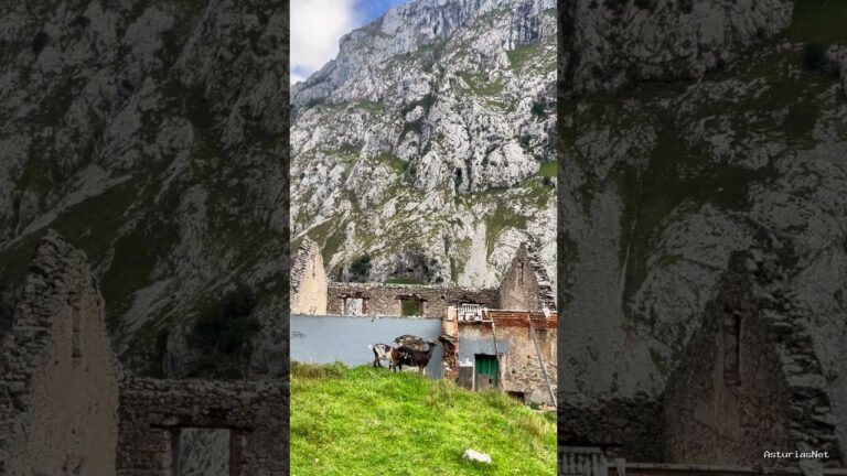 Viajar desde Asturias | 28 de septiembre de 2024 | Cabras andando por encima de las ruinas de una casa en la ruta del cares en Asturias