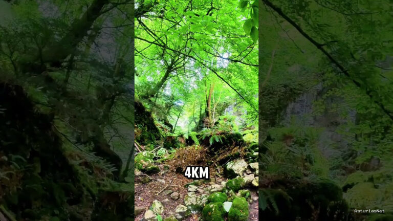 Viajar desde Asturias | 13 de septiembre de 2024 | Una ruta de senderismo espectacular en Asturias