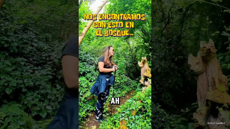 Viajar desde Asturias | 26 de septiembre de 2024 | Caminando por el bosque nos encontramos con esta obra tallada en madera