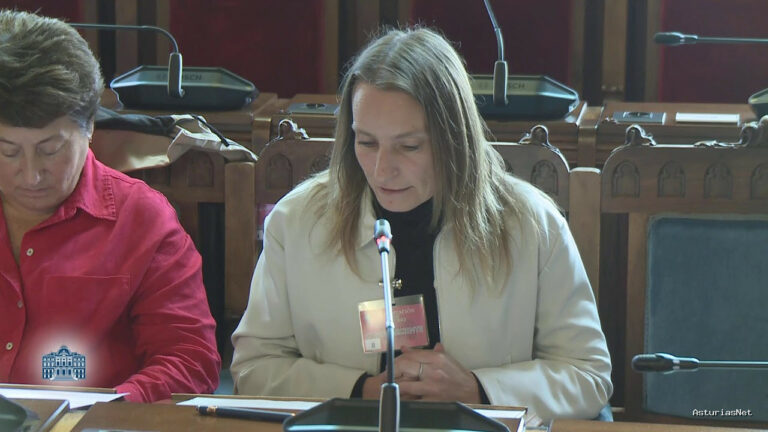 Junta General Principado de Asturias (JGPA) | 14 de septiembre de 2024 | Comisión de Transición Ecológica, Industria y Desarrollo Económico II