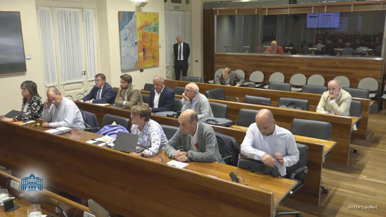 Junta General Principado de Asturias (JGPA) | 11 de septiembre de 2024 | Comisión de Transición Ecológica, Industria y Desarrollo Económico