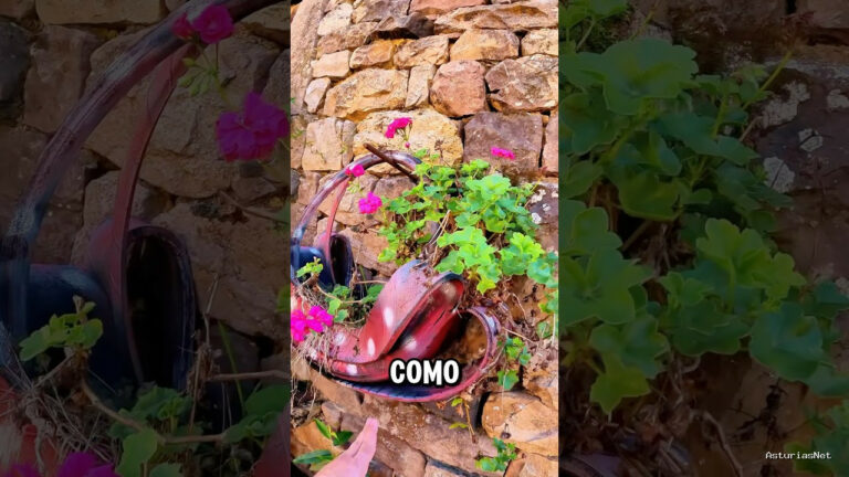 Viajar desde Asturias | 27 de septiembre de 2024 | Decoraciones originales reciclando neumaticos
