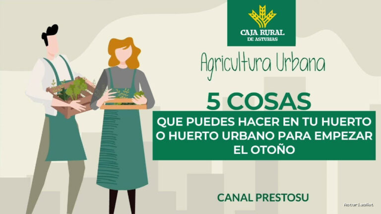 Prestosu | 18 de septiembre de 2024 | Canal Prestosu | Agricultura urbana: 5 ideas para poner a punto tu en ​