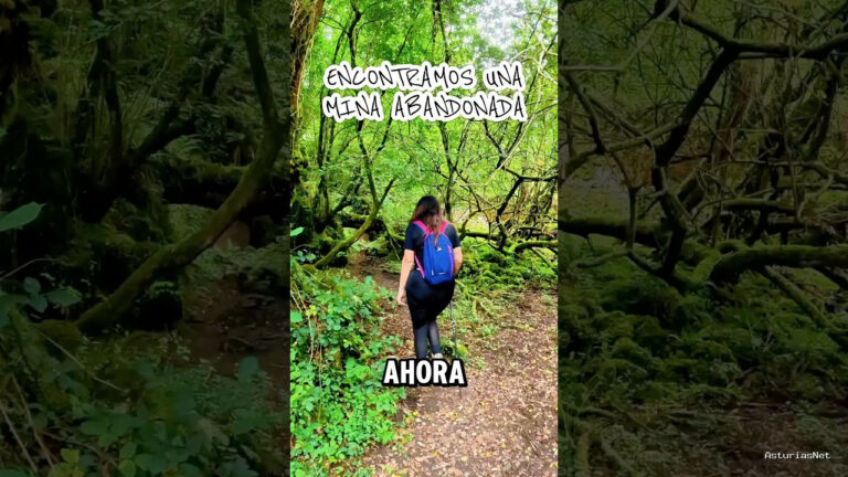 Viajar desde Asturias | 10 de septiembre de 2024 | Encontramos una mina de hierro abandonada en un bosque de Asturias