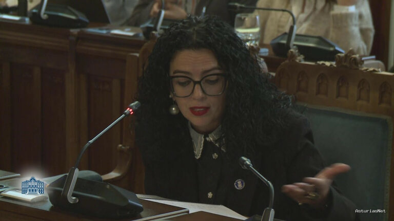 Junta General Principado de Asturias (JGPA) | October 9, 2024 | Comisión de Cultura, Política Llingüística y Deporte