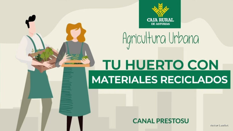 Prestosu | October 2, 2024 | Canal Prestosu | Agricultura urbana: cómo preparar tu con materiales reciclados