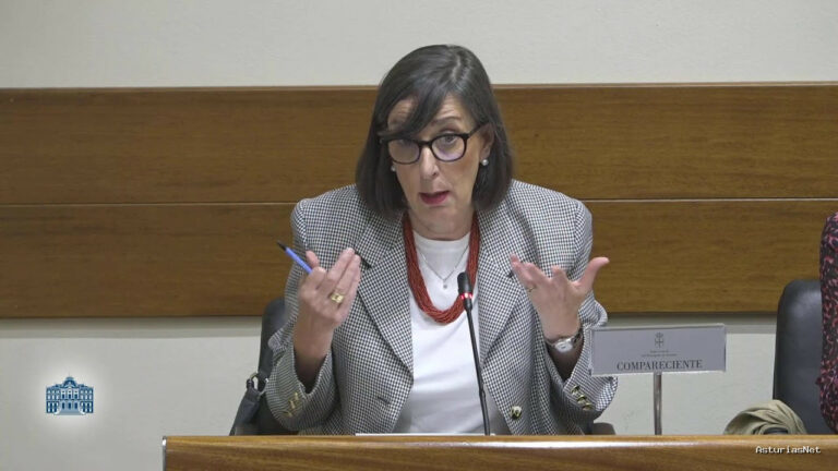 Junta General Principado de Asturias (JGPA) | October 7, 2024 | Comisión de Transición Ecológica, Industria y Desarrollo Económico