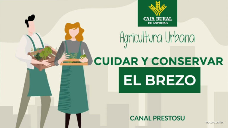 Prestosu | October 30, 2024 | Canal Prestosu | Agricultura urbana: cómo cuidar y conservar el brezo