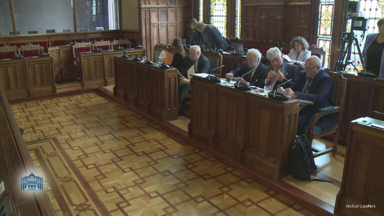 Junta General Principado de Asturias (JGPA) | October 3, 2024 | Comisión de Ciencia, Empresas, Formación y Empleo I