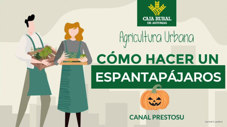 Prestosu | October 23, 2024 | Canal Prestosu | Agricultura urbana: cómo hacer un espantapájaros para tu