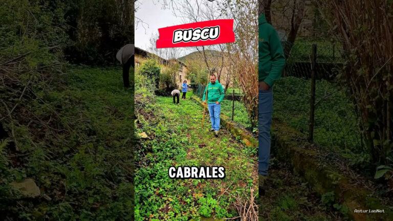 Viajar desde Asturias | October 19, 2024 | Vecinas del pueblo de Cabrales recolectando frutos secos