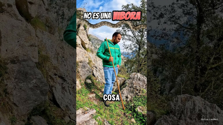 Viajar desde Asturias | October 21, 2024 | En la montaña asturiana es frecuente encontraros con esta especie de serpientes pequeñas