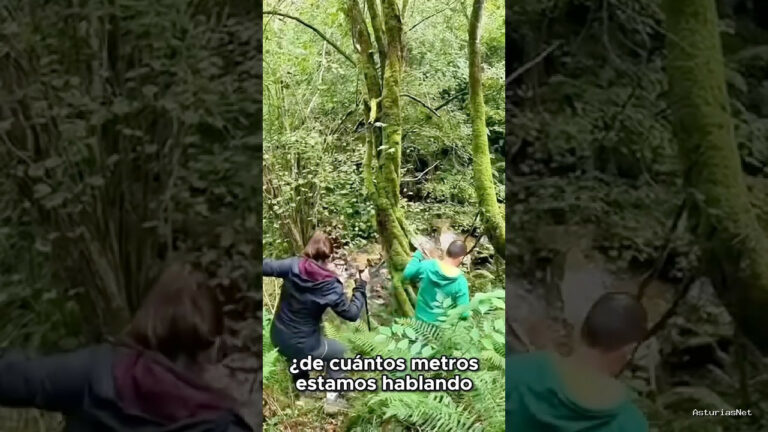 Viajar desde Asturias | October 21, 2024 | Una cascada de 80 metros de altura en Asturias