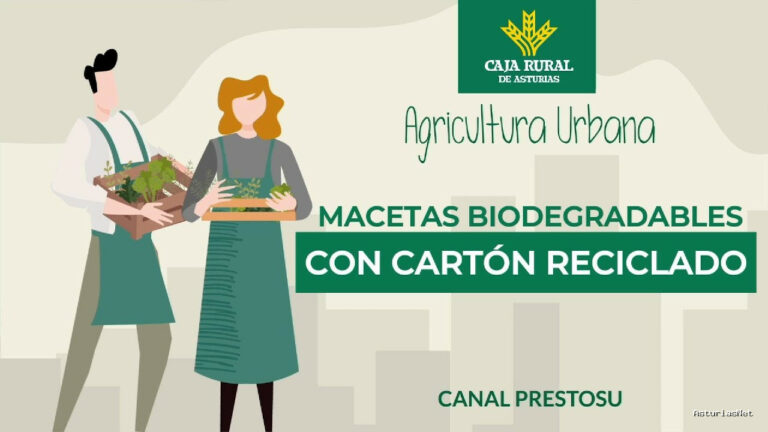Prestosu | October 9, 2024 | Canal Prestosu | Agricultura urbana: cómo hacer macetas biodegradables con cartón reciclado