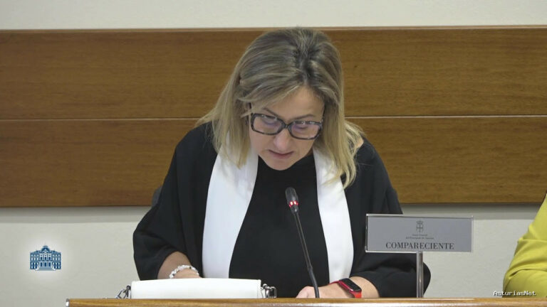 Junta General Principado de Asturias (JGPA) | October 25, 2024 | Comisión de Educación