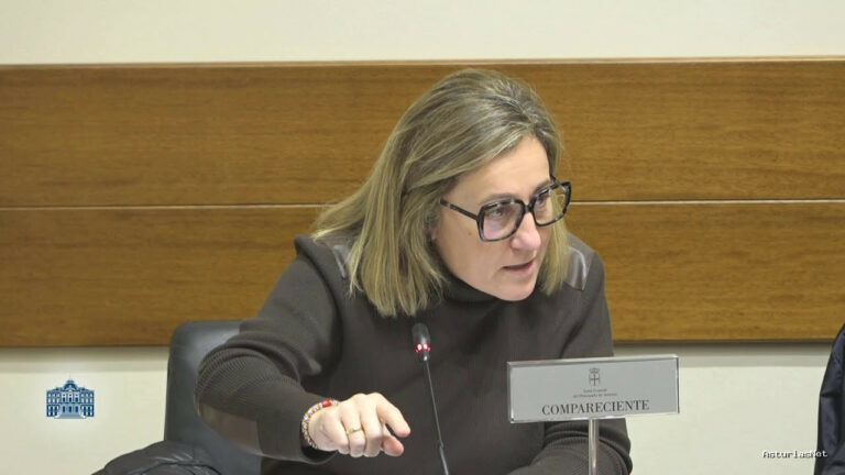 Junta General Principado de Asturias (JGPA) | November 19, 2024 | Comisión de Hacienda y Fondos Europeos (II)