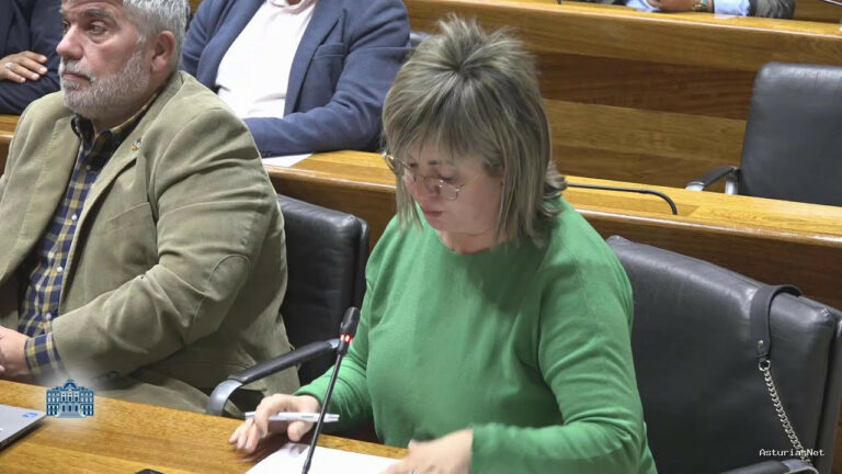 Junta General Principado de Asturias (JGPA) | November 22, 2024 | Comisión de Educación