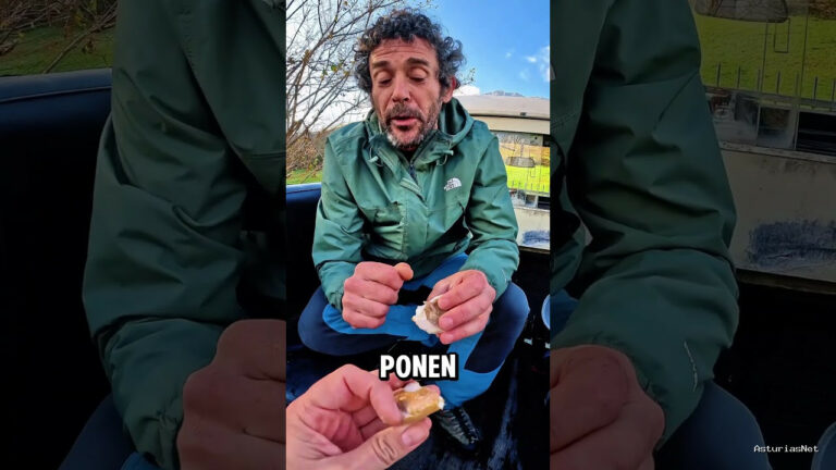 Viajar desde Asturias | November 18, 2024 | Ayer fuimos a recoger setas con Ruben de Cabrales Aventura. Todo un experto en este mundo