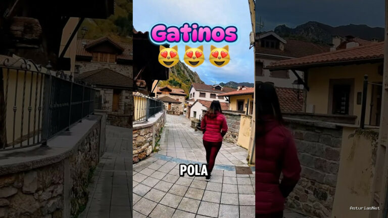 Viajar desde Asturias | November 16, 2024 | Visitamos el pueblo de Pola de Somiedo y nos sorprendemos de la cantidad de gatos que vemos
