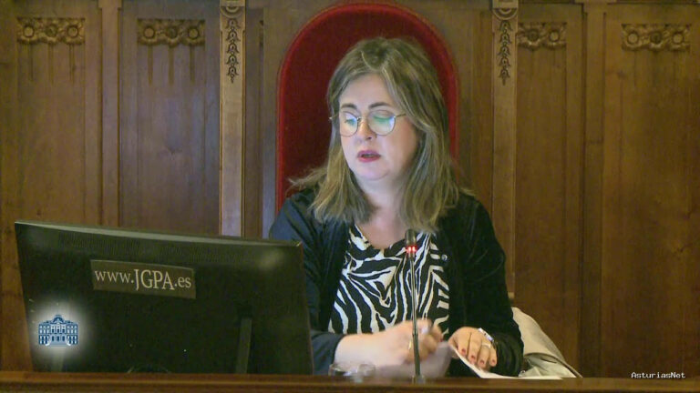 Junta General Principado de Asturias (JGPA) | November 6, 2024 | Comisión de Cultura, Política Llingüística y Deporte