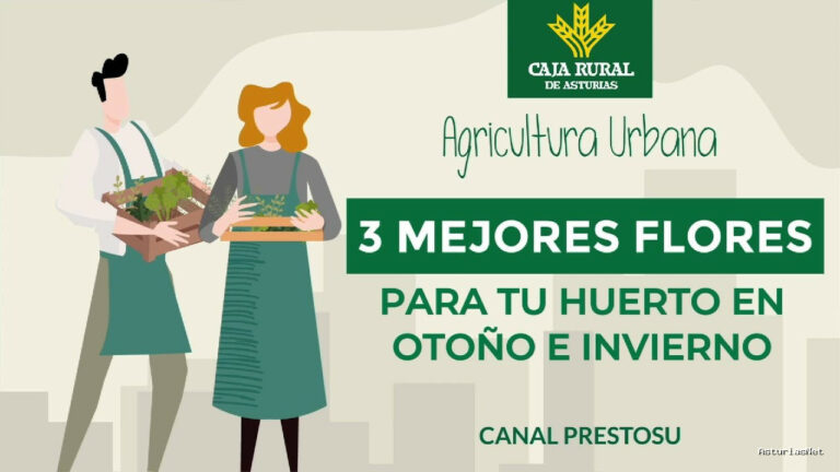 Prestosu | 13 de noviembre de 2024 | Canal Prestosu | Agricultura urbana: ¿qué flores plantar en tu huerto urbano en e ?