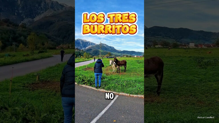 Viajar desde Asturias | November 9, 2024 | Nos encontramos con tres burros cariñosos en el pueblo de Arenas de Cabrales