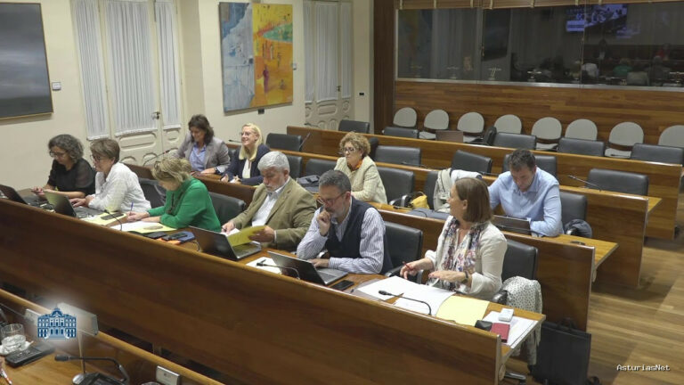 Junta General Principado de Asturias (JGPA) | November 7, 2024 | Comisión de Derechos Sociales y Bienestar