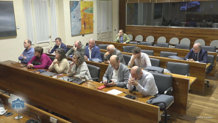 Junta General Principado de Asturias (JGPA) | November 5, 2024 | Comisión de Transición Ecológica, Industria y Desarrollo Económico