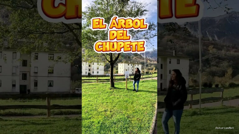 Viajar desde Asturias | November 2, 2024 | En este arbol los niños pueden dejar su chupete