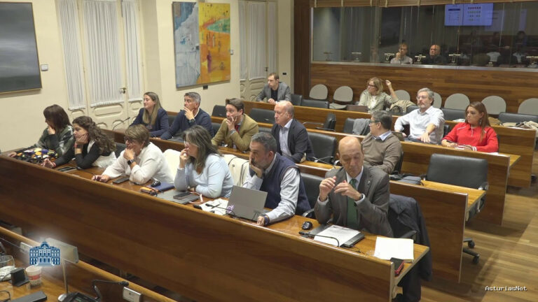 Junta General Principado de Asturias (JGPA) | November 5, 2024 | Comisión de Fomento, Cooperación Local y Prevención de Incendios