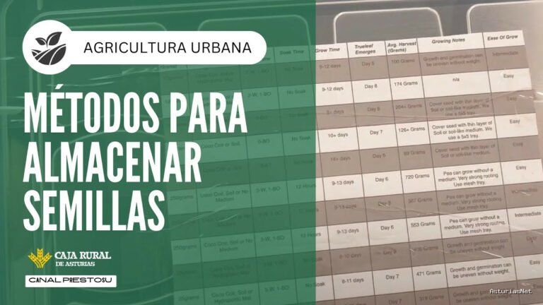 Prestosu | December 4, 2024 | Canal Prestosu | Agricultura urbana: métodos para almacenar semillas