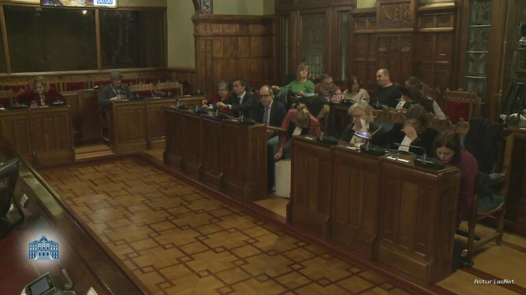 Junta General Principado de Asturias (JGPA) | December 14, 2024 | Comisión de Hacienda y Fondos Europeos (II)